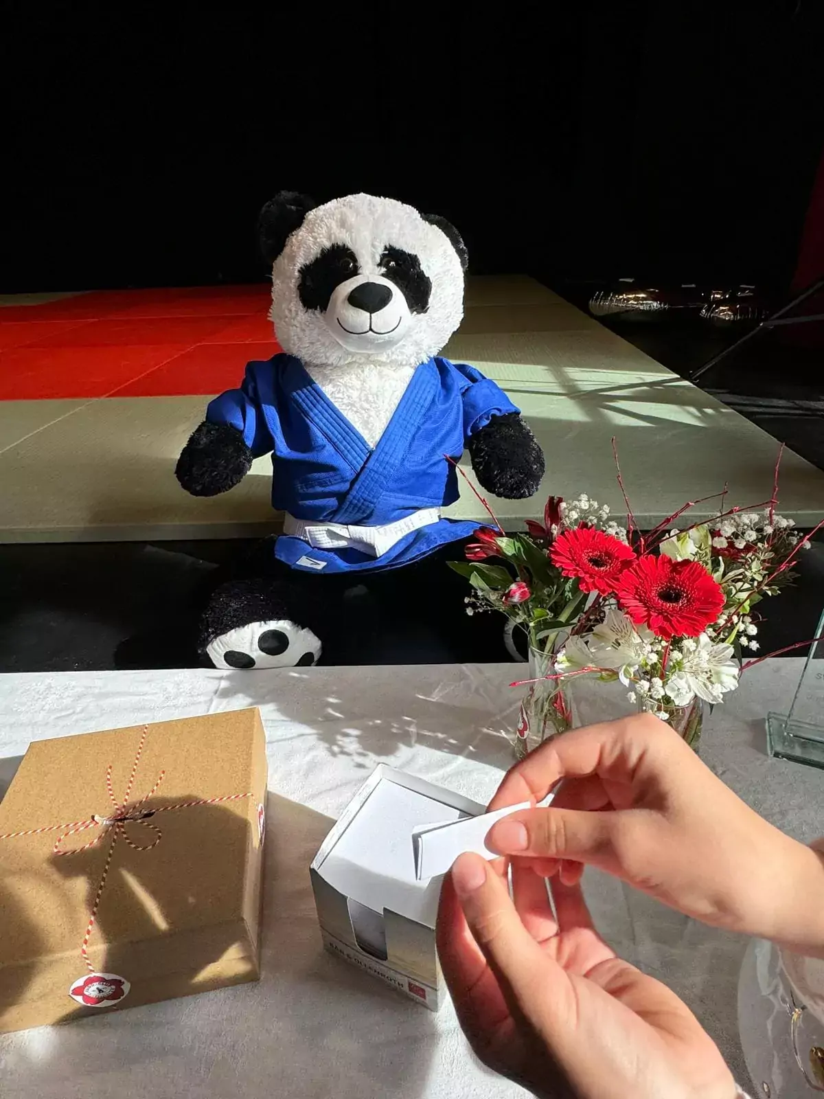 Judoshi - das freundliche Maskottchen des Judo-Club Großbeeren in traditioneller Judogi